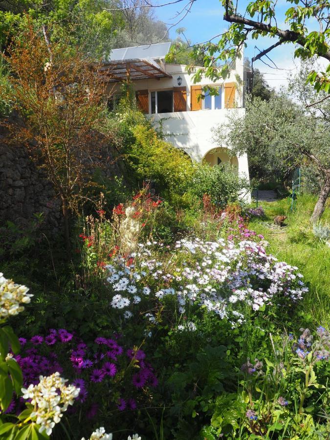 Villa Modestie Breil-sur-Roya Exterior foto