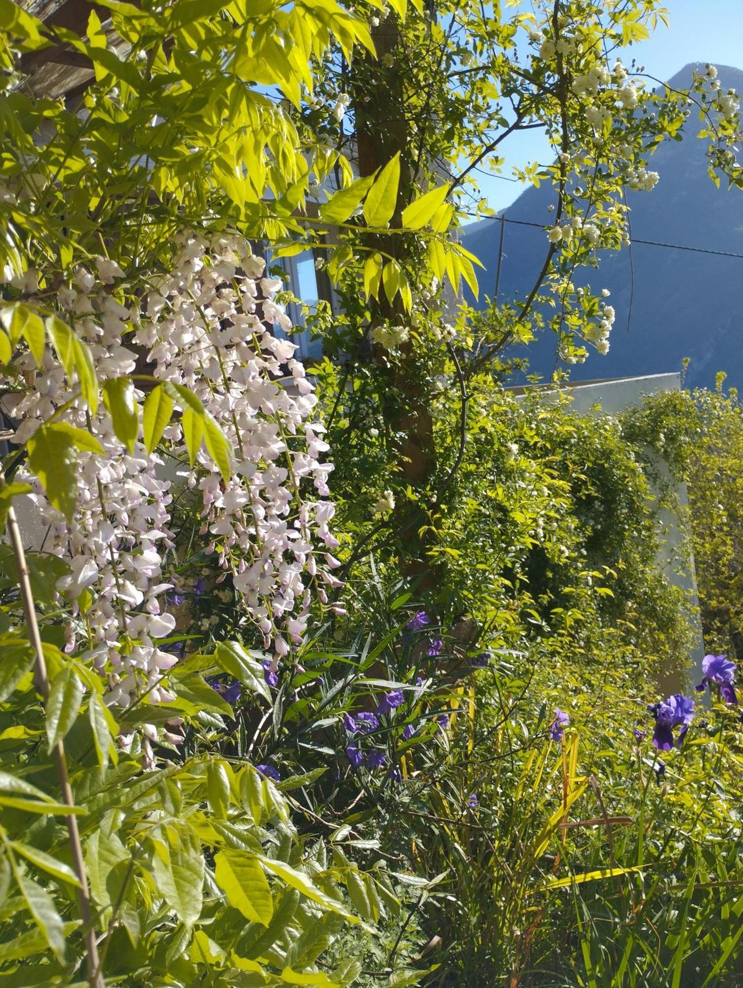 Villa Modestie Breil-sur-Roya Exterior foto